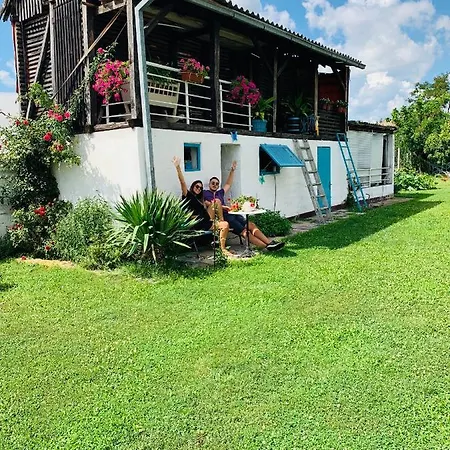 Lux House Olga ルマ