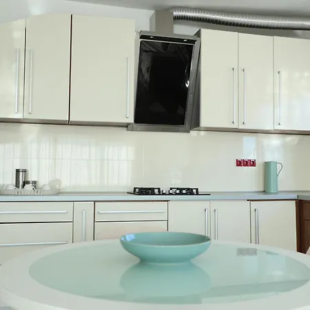 Lux House Olga Apartment Ruma