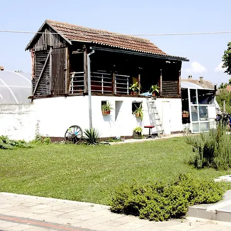 Apartment Lux House Olga *